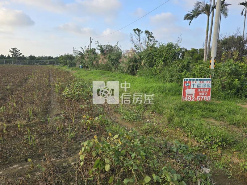 觀音近66美農地房屋室內格局與周邊環境