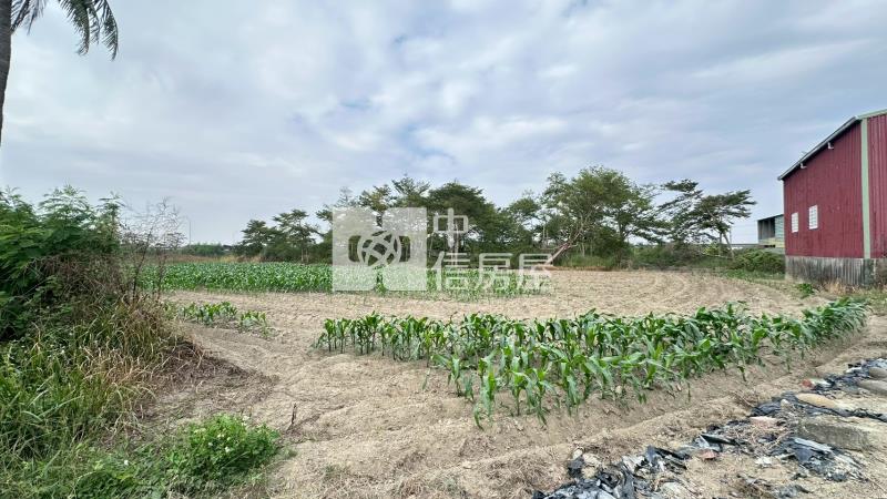 新市舊園段持分農地房屋室內格局與周邊環境