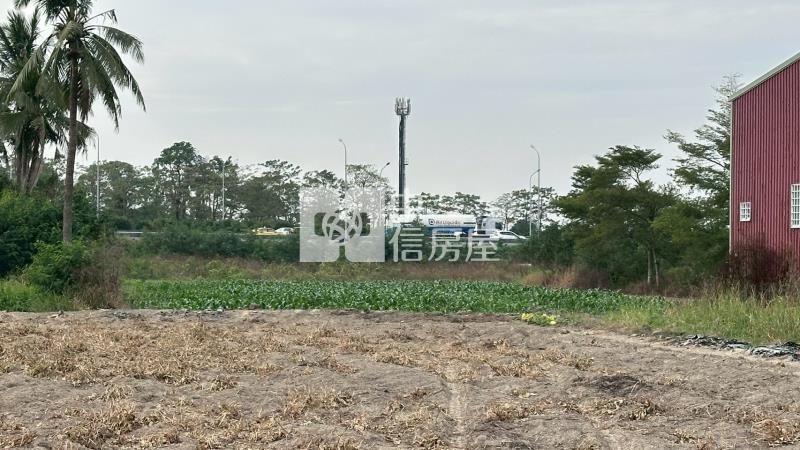 新市舊園段持分農地房屋室內格局與周邊環境