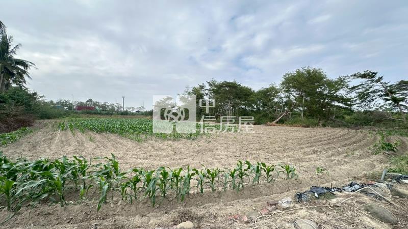 新市舊園段持分農地房屋室內格局與周邊環境