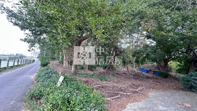 新市大洲段持分農地房屋室內格局與周邊環境