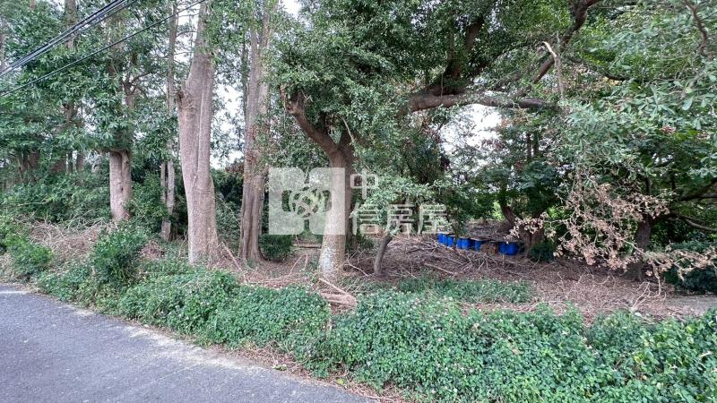 新市大洲段持分農地房屋室內格局與周邊環境