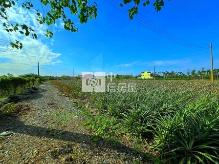 屏東農舍-萬巒信敏路農舍房屋室內格局與周邊環境
