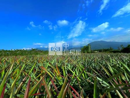屏東農舍-萬巒信敏路農舍房屋室內格局與周邊環境