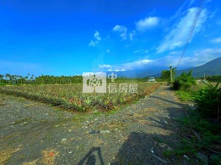 屏東農舍-萬巒信敏路農舍房屋室內格局與周邊環境