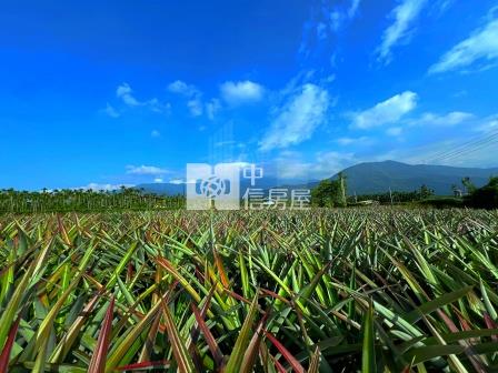 屏東農舍-萬巒信敏路農舍房屋室內格局與周邊環境