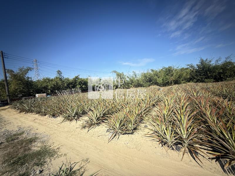 關廟近關新路美農地房屋室內格局與周邊環境