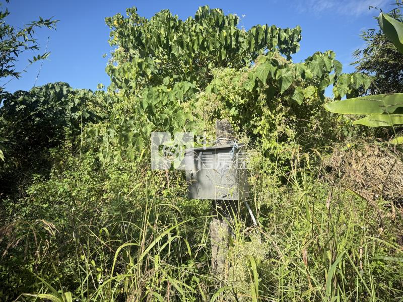 關廟近關新路美農地房屋室內格局與周邊環境