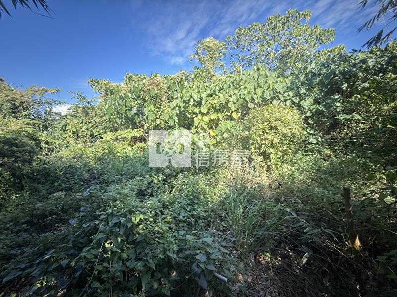 關廟近關新路美農地房屋室內格局與周邊環境