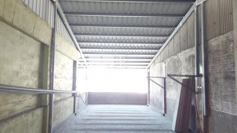 北區健行路/大地坪/透天店面房屋室內格局與周邊環境