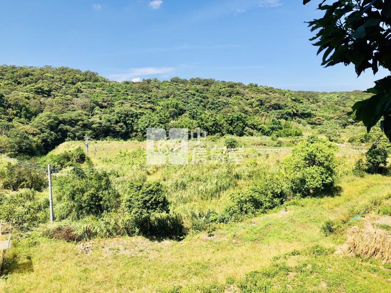 湖新路1903老街農地房屋室內格局與周邊環境