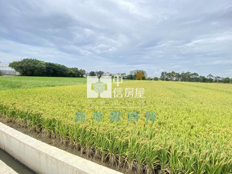 【新夢想】新豐台15旁農地房屋室內格局與周邊環境