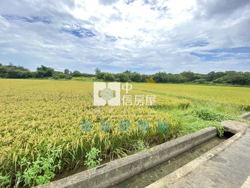 【新夢想】新豐台15旁農地房屋室內格局與周邊環境