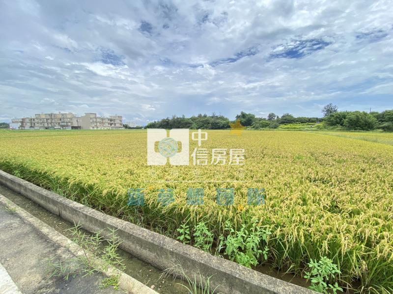 【新夢想】新豐台15旁農地房屋室內格局與周邊環境