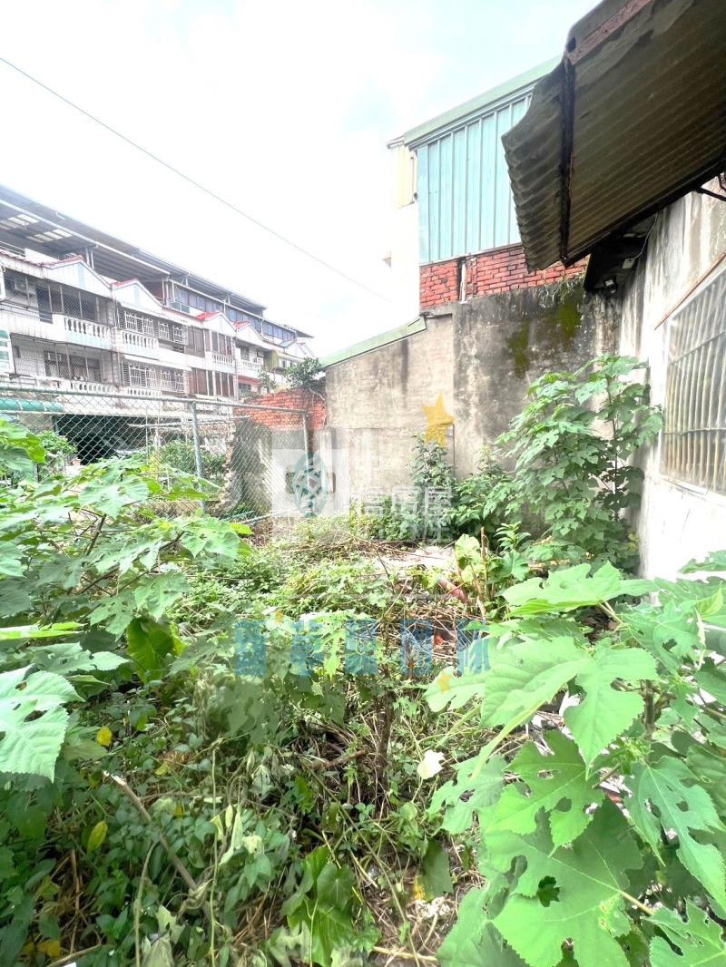 【新夢想】平鎮大地坪邊間透天房屋室內格局與周邊環境