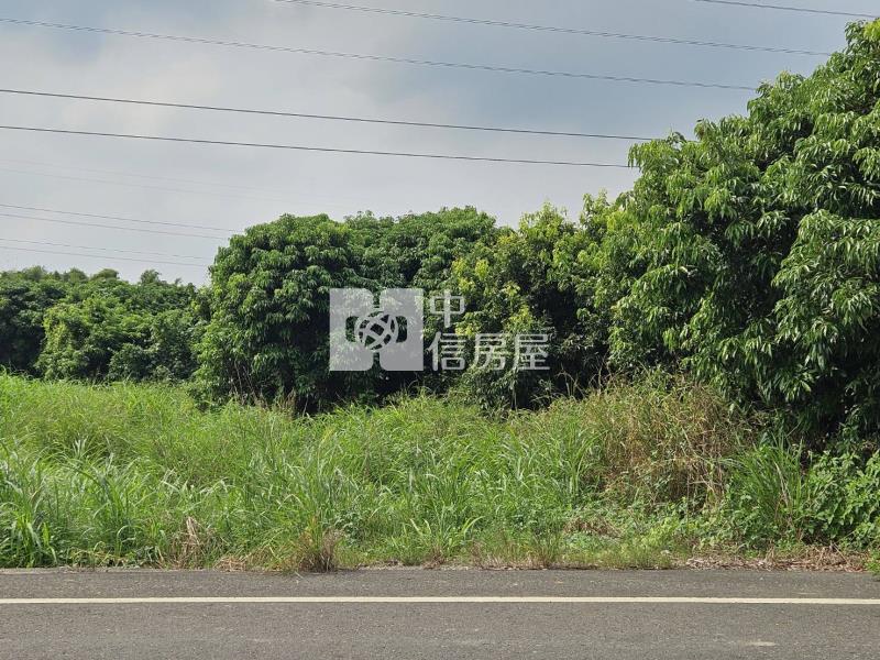 (專)歸仁沙崙農場旁農地房屋室內格局與周邊環境