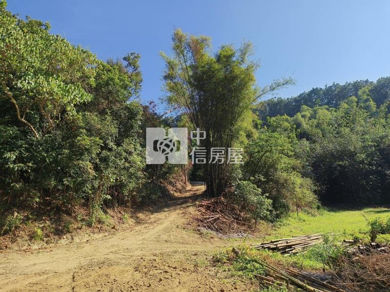 中興林場稀有幽靜建地房屋室內格局與周邊環境