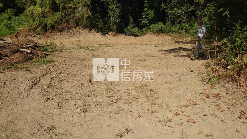 中興林場稀有幽靜建地房屋室內格局與周邊環境