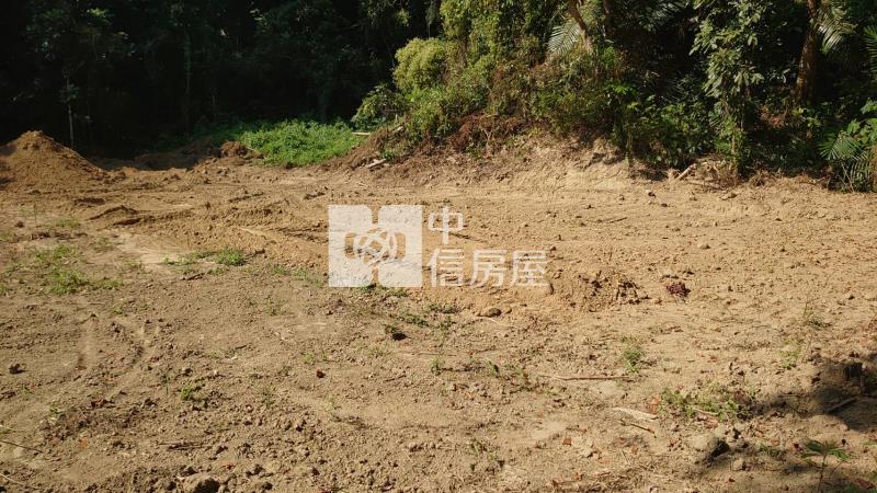 中興林場稀有幽靜建地房屋室內格局與周邊環境