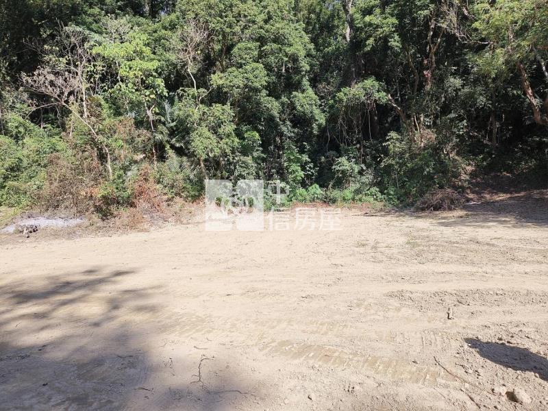 中興林場稀有幽靜建地房屋室內格局與周邊環境