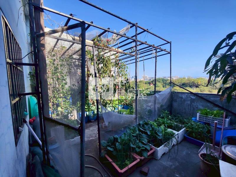 582世紀家園透天厝房屋室內格局與周邊環境