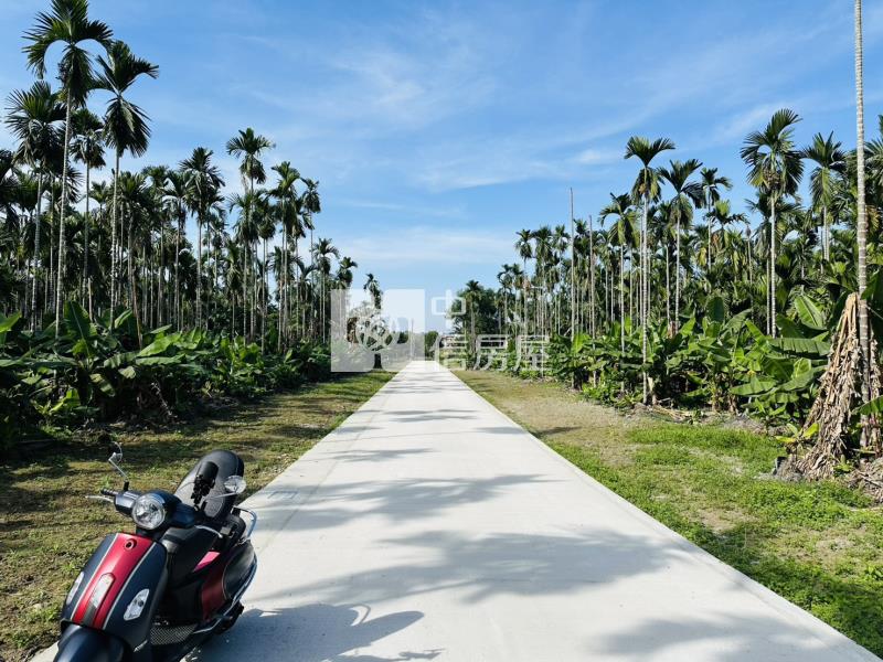 龍泉優質都計農地房屋室內格局與周邊環境