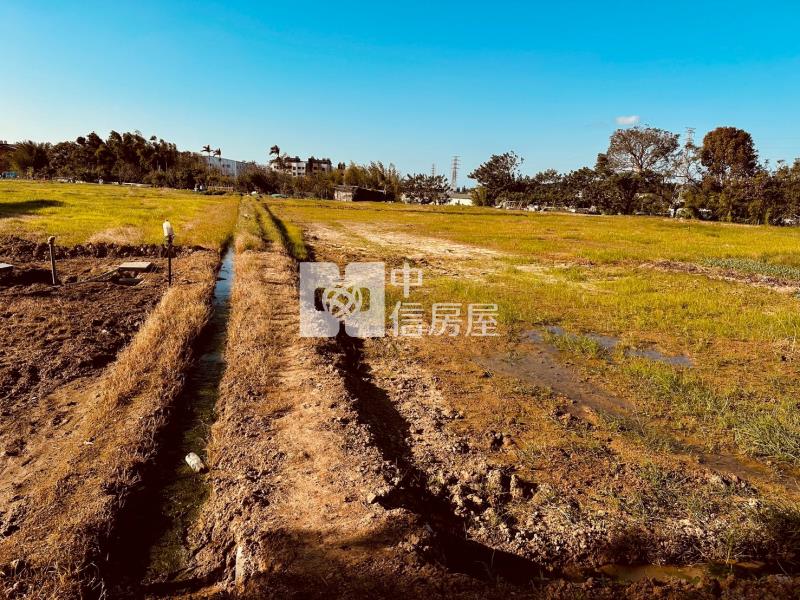 楊梅區水美國小方正美田房屋室內格局與周邊環境