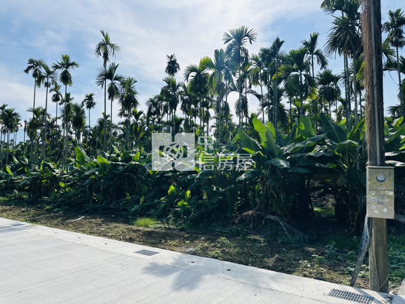 龍泉優質都計農地-1房屋室內格局與周邊環境