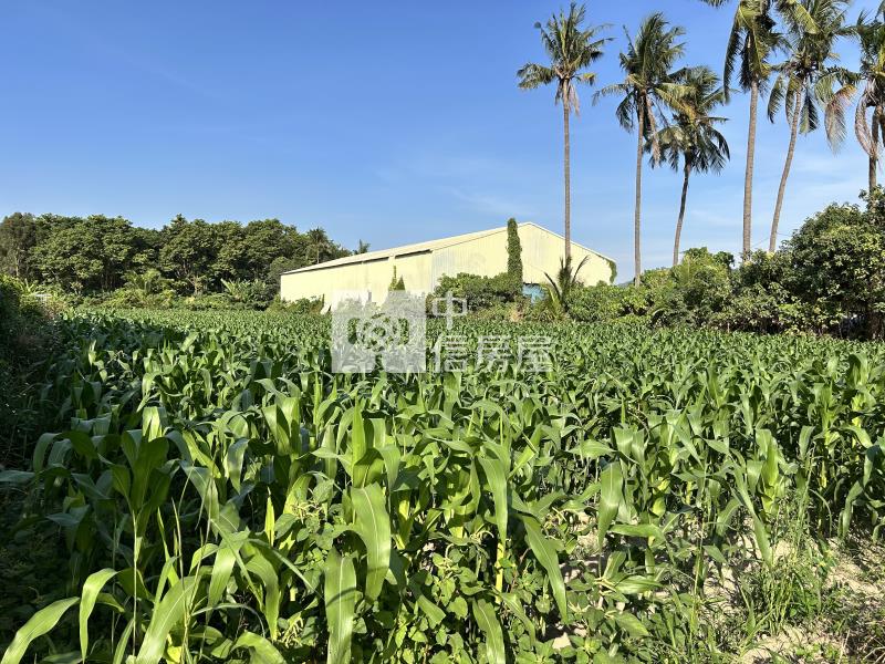 岡山產業園區旁有水電都農房屋室內格局與周邊環境