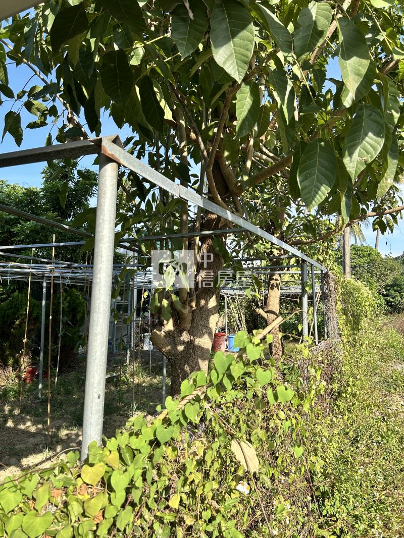 岡山產業園區旁有水電都農房屋室內格局與周邊環境