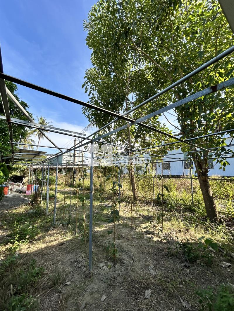 岡山產業園區旁有水電都農房屋室內格局與周邊環境