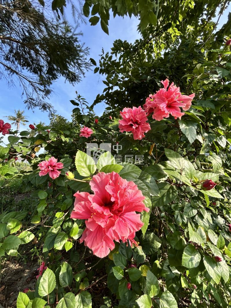 岡山產業園區旁有水電都農房屋室內格局與周邊環境