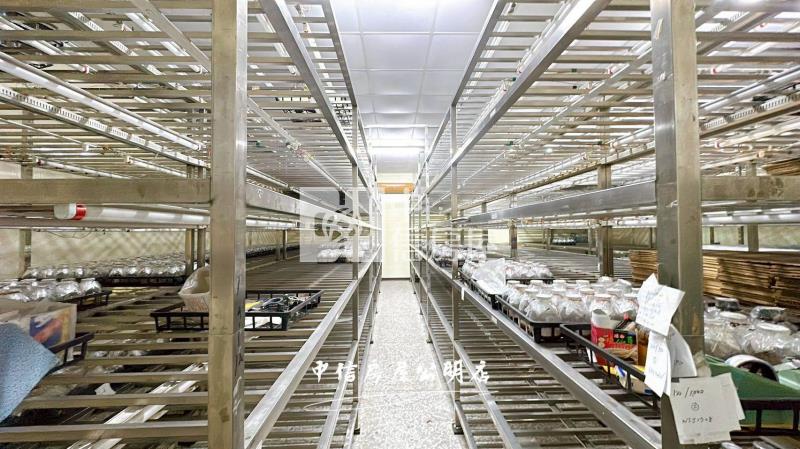 近中埔交流道合法鋼骨造廠房+資材室 B房屋室內格局與周邊環境