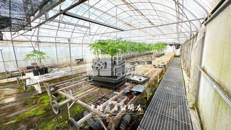 近中埔交流道合法鋼骨造廠房+資材室 B房屋室內格局與周邊環境