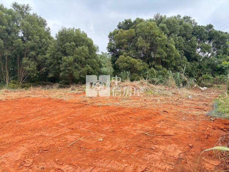 楊梅埔心車站10米路都內保護區農地房屋室內格局與周邊環境