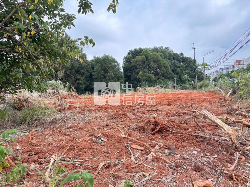 楊梅埔心車站10米路都內保護區農地房屋室內格局與周邊環境