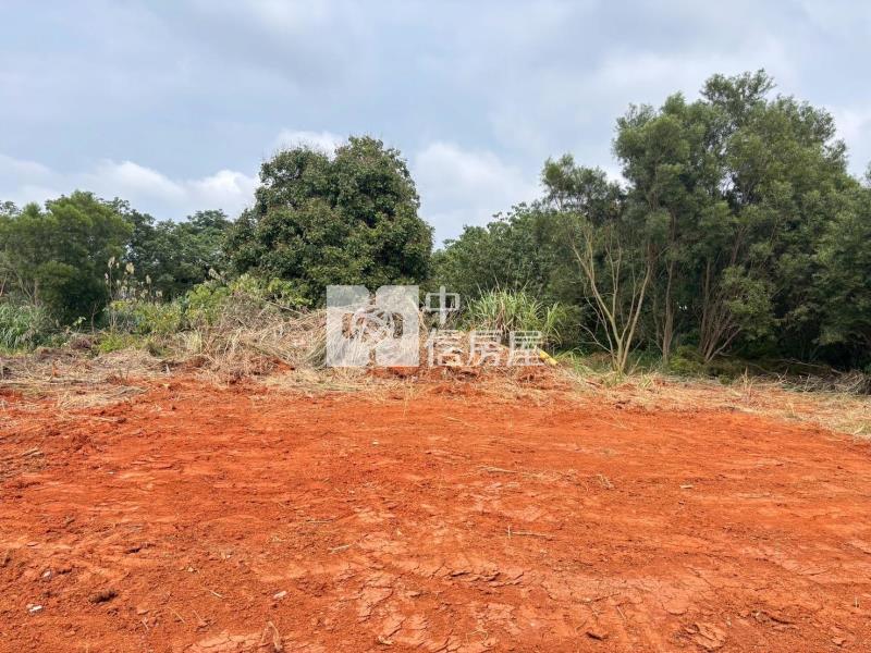 楊梅埔心車站10米路都內保護區農地房屋室內格局與周邊環境