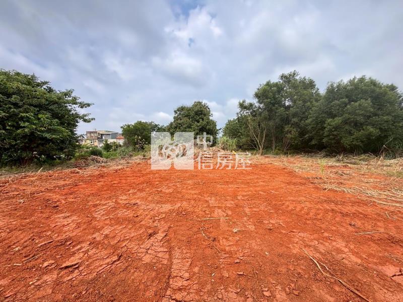 楊梅埔心車站10米路都內保護區農地房屋室內格局與周邊環境