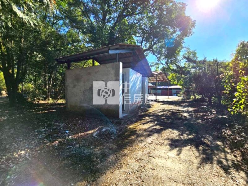 國姓臨路20米大地坪角地房屋室內格局與周邊環境