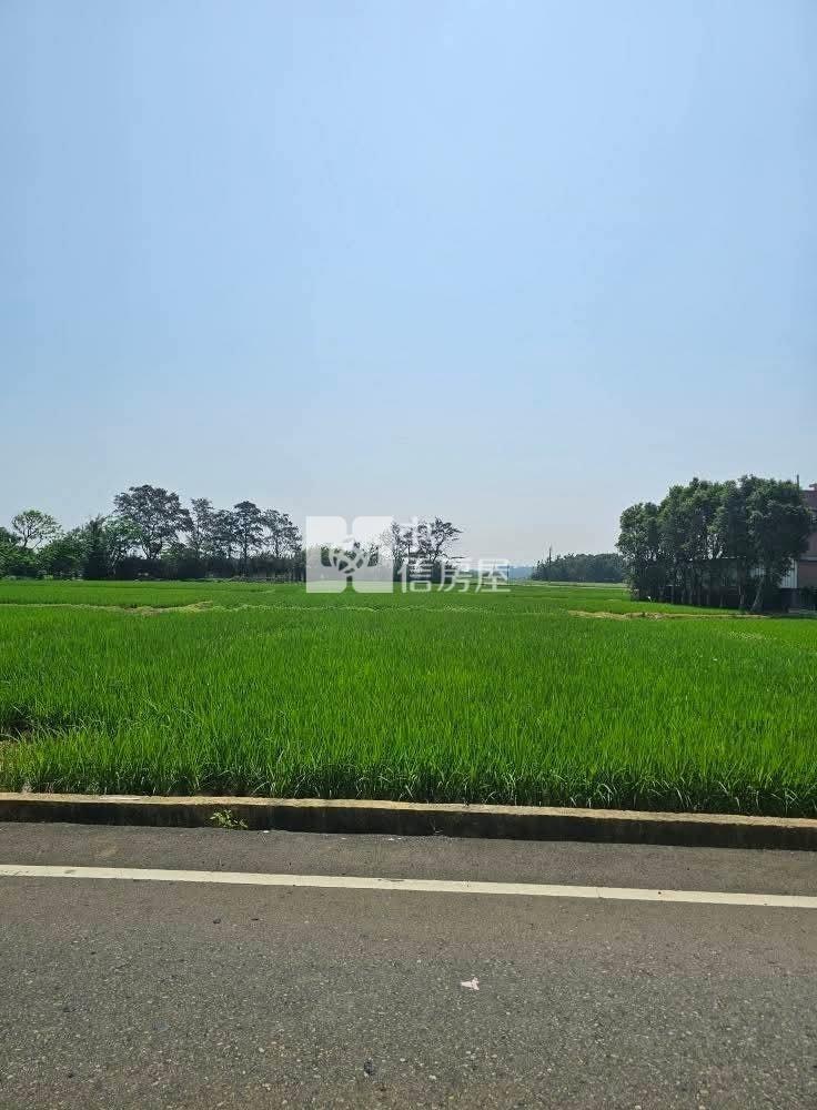 新屋十五間八米路農地房屋室內格局與周邊環境