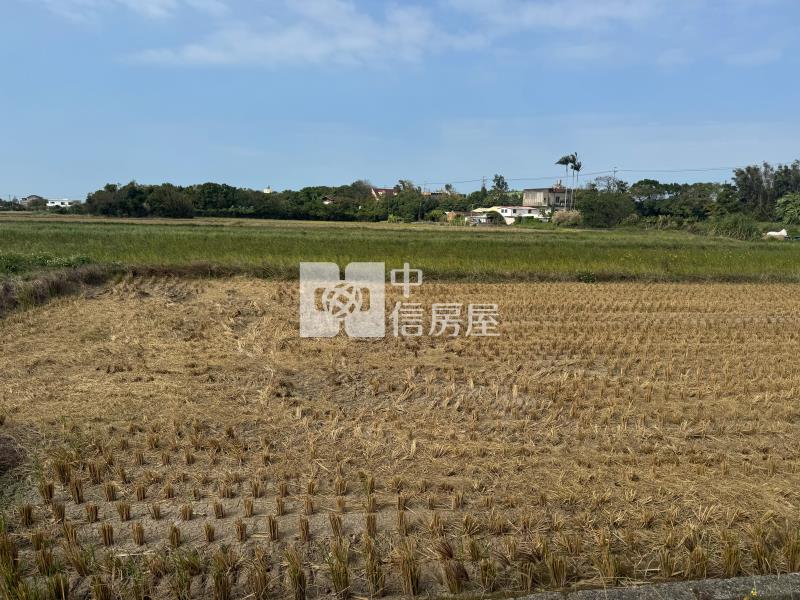 新豐農地房屋室內格局與周邊環境