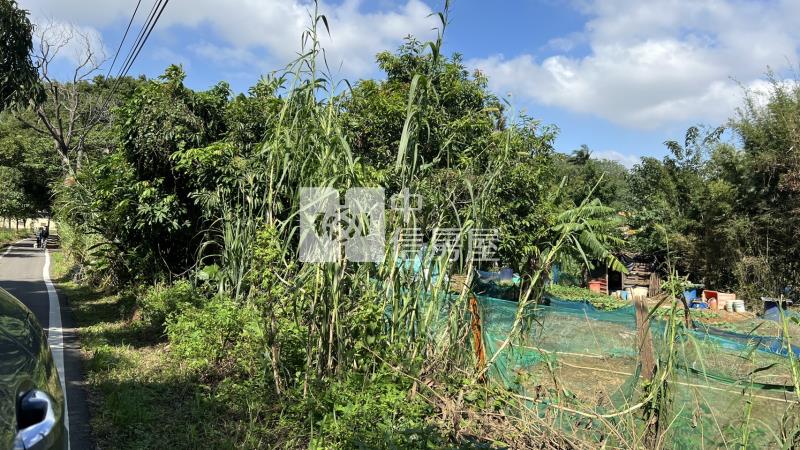 平鎮/南勢重劃區 都內農房屋室內格局與周邊環境