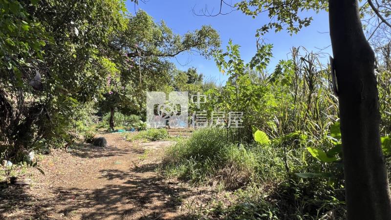 平鎮/南勢重劃區 都內農房屋室內格局與周邊環境