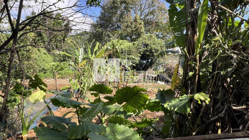 平鎮/南勢重劃區 都內農房屋室內格局與周邊環境