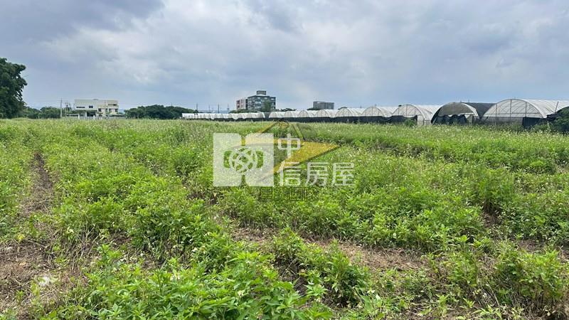 【星鑽】大竹交流道南青路稀有交通用地房屋室內格局與周邊環境