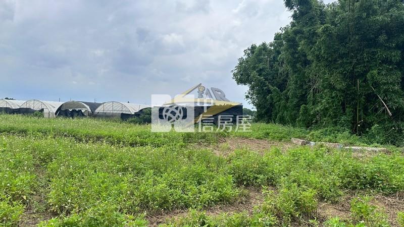 【星鑽】大竹交流道南青路稀有交通用地房屋室內格局與周邊環境