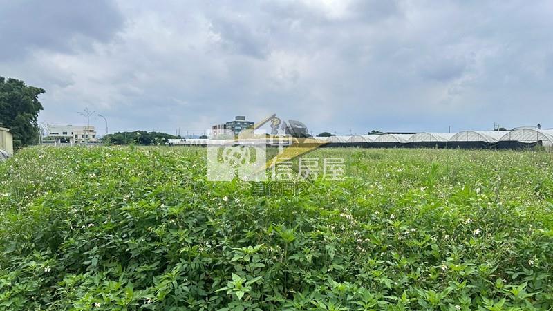 【星鑽】大竹交流道南青路稀有交通用地房屋室內格局與周邊環境