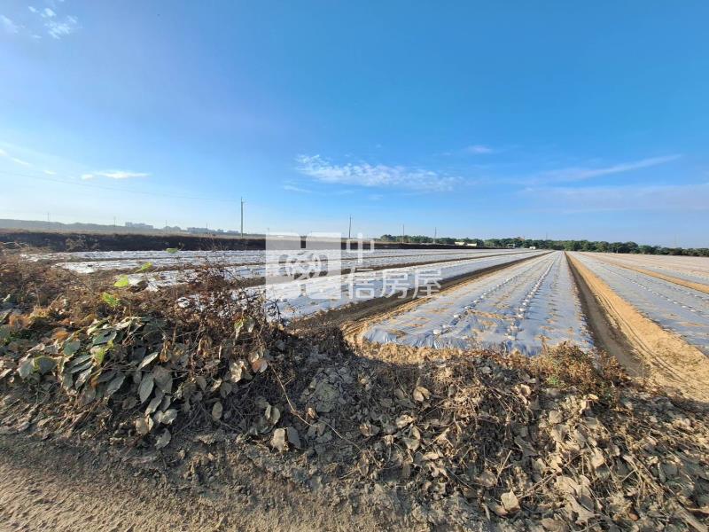 歸仁沙崙近高鐵特區農地房屋室內格局與周邊環境