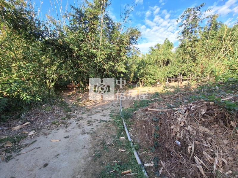 歸仁沙崙近高鐵特區農地房屋室內格局與周邊環境