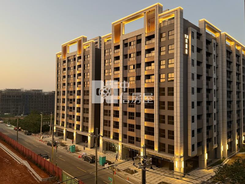 【安家】宜誠阿麗拉全新三房車位房屋室內格局與周邊環境